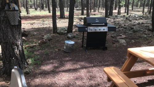 Grand Canyon Cottage at Historic Wrigley Ranch with Horseback Riding & Hiking - Foto 4