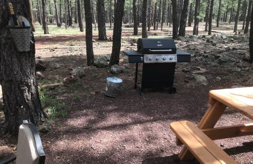 Grand Canyon Cottage at Historic Wrigley Ranch with Horseback Riding & Hiking - Foto 4