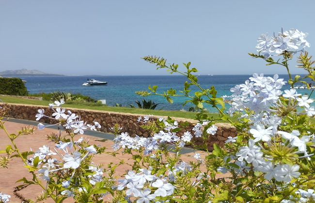 Seaside Apartment Baja Sardinia - 6pl August - 150 m From Smeraldo Beach ! - Foto 31
