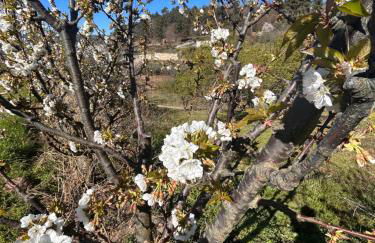 Casa Vicente - Foto 22