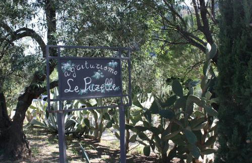 Azienda Agrituristica Le Puzelle - Photo 133