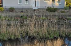 Ferienhaus Lachmöwe - Foto 4