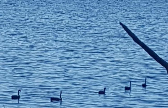 Trading Places - Photo 20