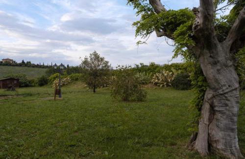 Casale di Campagna - Foto 36