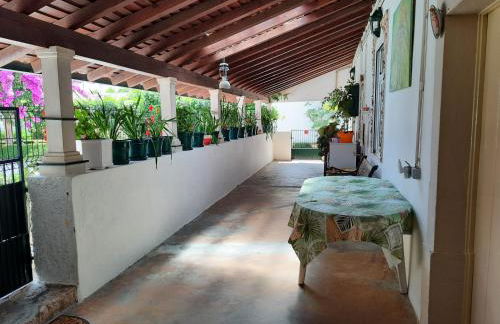 QM - Quinta da Morgadinha - Casa em Quinta Rural - Foto 46