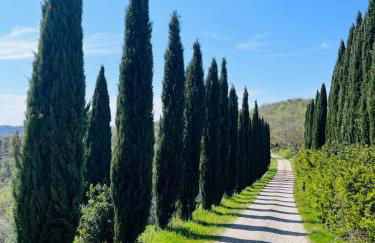 Apartment Sotto la Lucertola - Foto 44