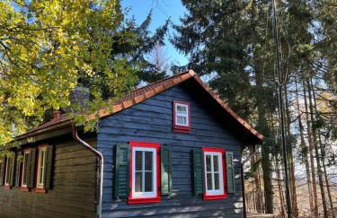 Steinbachhütte 1 - Foto 1