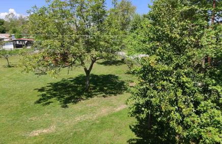 Prionas Studios - Foto 27