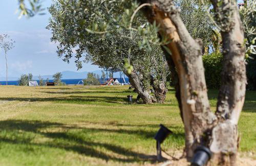 Flamingo View Suites & Villas - Photo 51