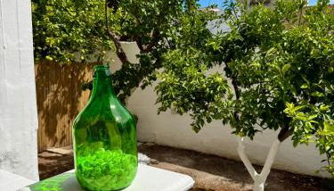 Dalla Pizzichicca - Foto 3