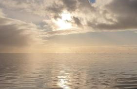 HaRe Ferienwohnungen - Foto 70