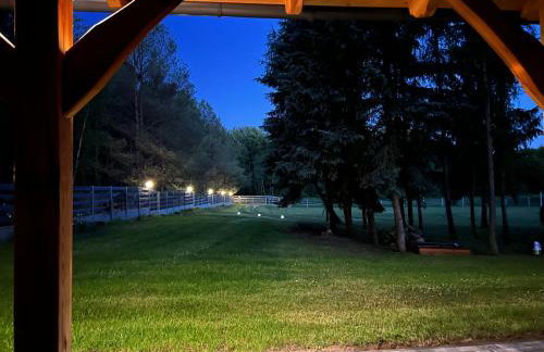 Agroturystyka PLENER - Foto 22