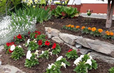 Ferienwohnung Saarblick - Foto 19