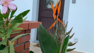 AL Ribeirinho - Foto 2