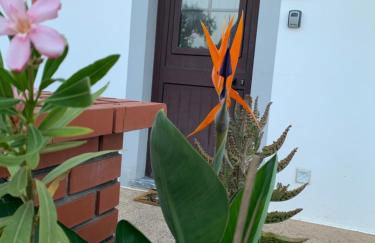 AL Ribeirinho - Foto 2