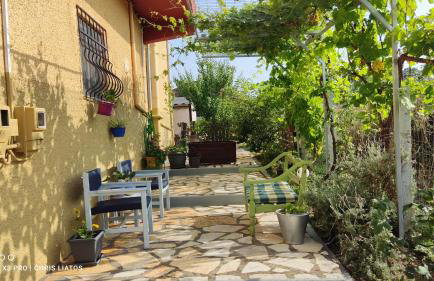 Vivian Philoxenia - Foto 33