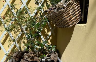 La Casa di Ringhiera - silenzioso appartamento di charme con balcone nel quadrilatero romano - Foto 30