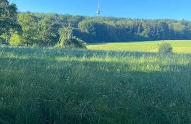 WOODWOOD Apartment near Airport Stuttgart - Foto 32