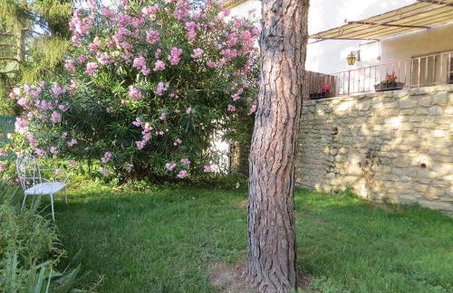 Les Studios-Hôtel de Sommières - Foto 77