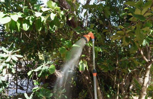 Villa Nami a 50mt dalla spiaggia - Foto 26