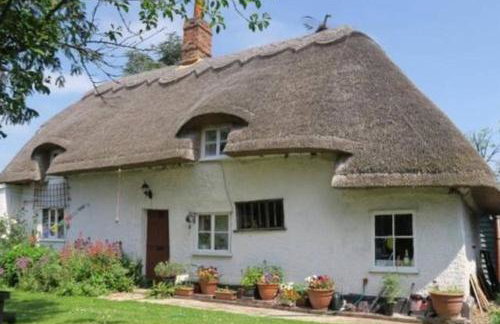 Entire Thatched Cottage - Photo 1