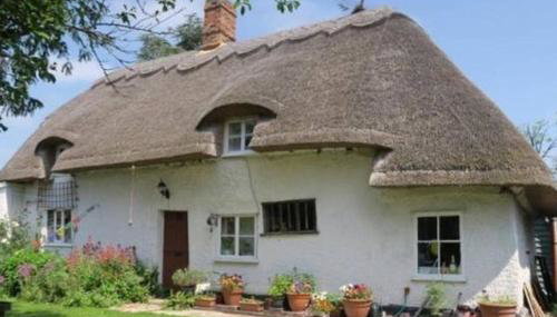 Entire Thatched Cottage - Foto 1