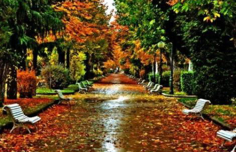 El Collado 17 - Foto 15