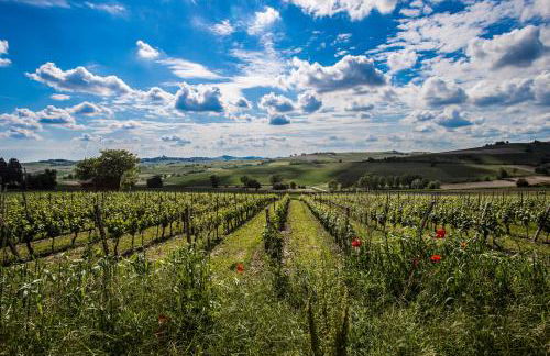 Wohnung in Landhaus mit Resort-Adults only - Foto 36