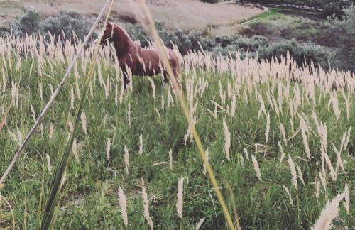 Timpa Bianca - Foto 38