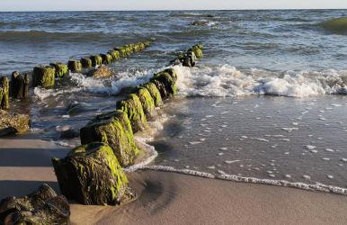 Apartament Sound of the Sea - Photo 21