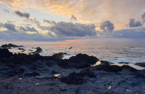 Vila Pilar Praia - Rural Apartment in the countryside of São Miguel - Photo 45