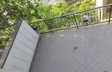 Casa Elisa e Casa Giuliana a Badalucco - Photo 32