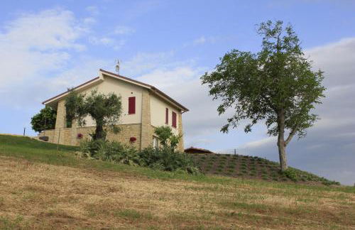 Villa Edelia - Foto 64