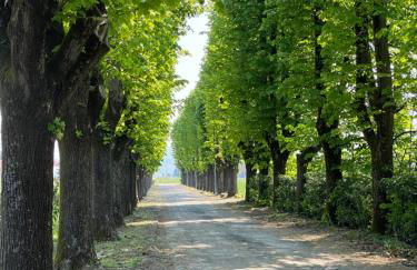 Tenuta Pizzone Wine Resort - Foto 27