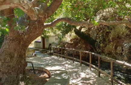 Sofia's House - Foto 23