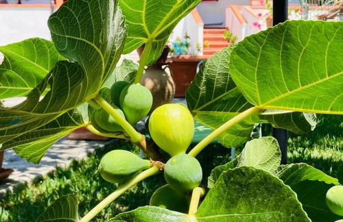 Villa Lesina Casa Vacanze - Foto 6