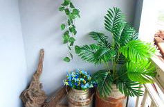 Inconfidência Diamantina - Foto 16