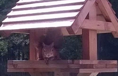 Craigie dhu, guest house - Photo 38