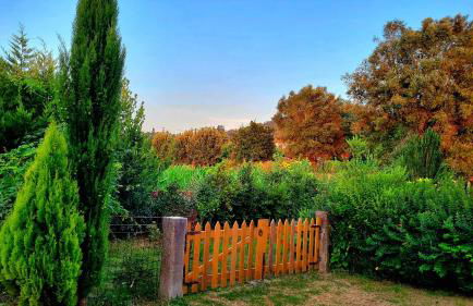 Villa Cornelia, Ponte de Lima - Foto 76