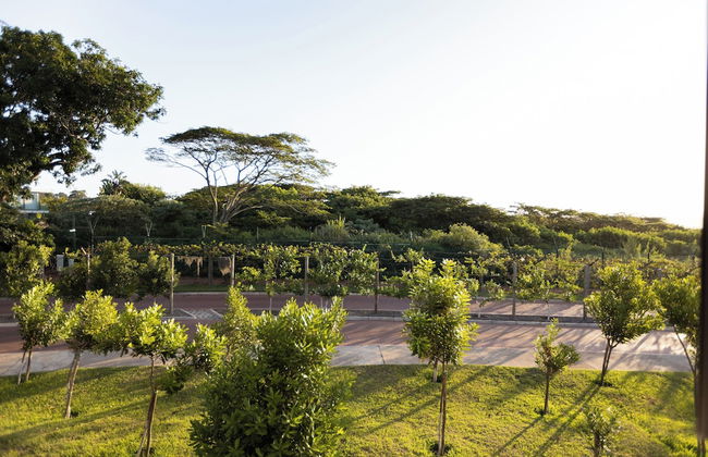 48 The Woods Elaleni - Foto 27