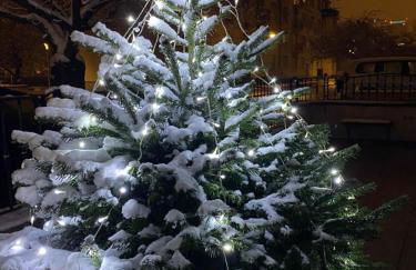 Appartement 3 lys - Foto 19