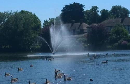 York House Apartments - Foto 25