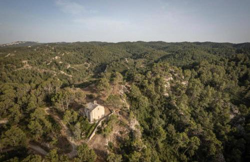 Gites notre dame du château - Foto 12