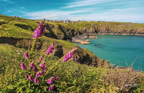 1bed Cottage Sleeps 2 - Enclosed Garden, Pets, Bbq - Foto 30