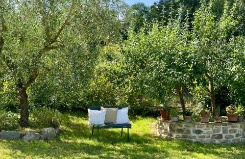 L'Aia di Anna - Photo 6