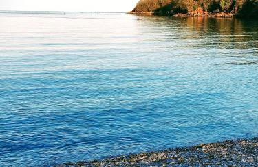 Anchor Cottage Noss Mayo - Foto 51