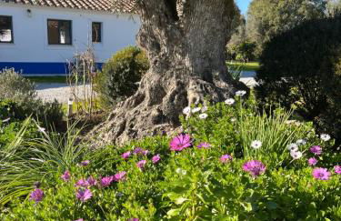 Quinta do Faisco - Photo 22