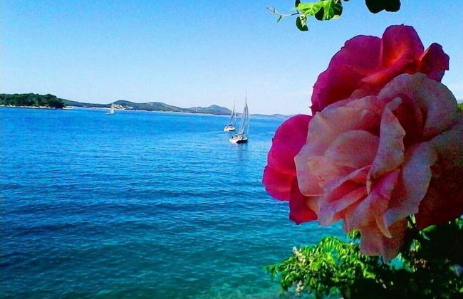 Sea of Eden - Foto 38