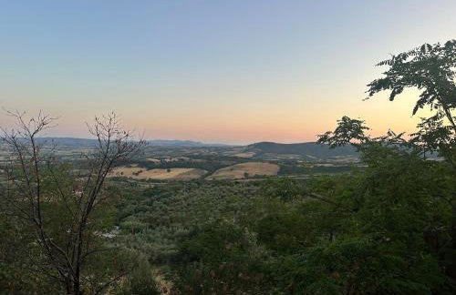 La Casina di Pinutte - Foto 16