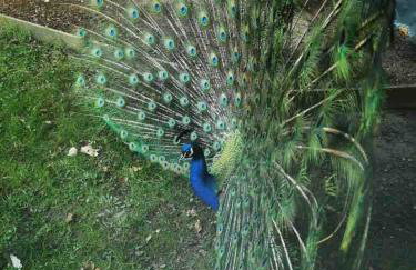 Luxury 2 Bedroom Norfolk Retreat-Private Hot Tub - Foto 14